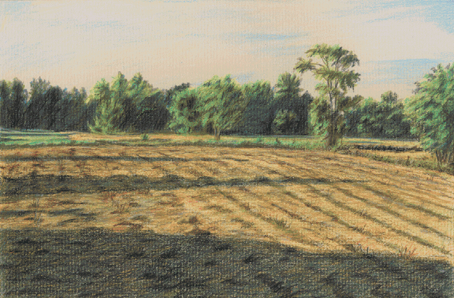 field landscape in early morning - colored pencil drawing