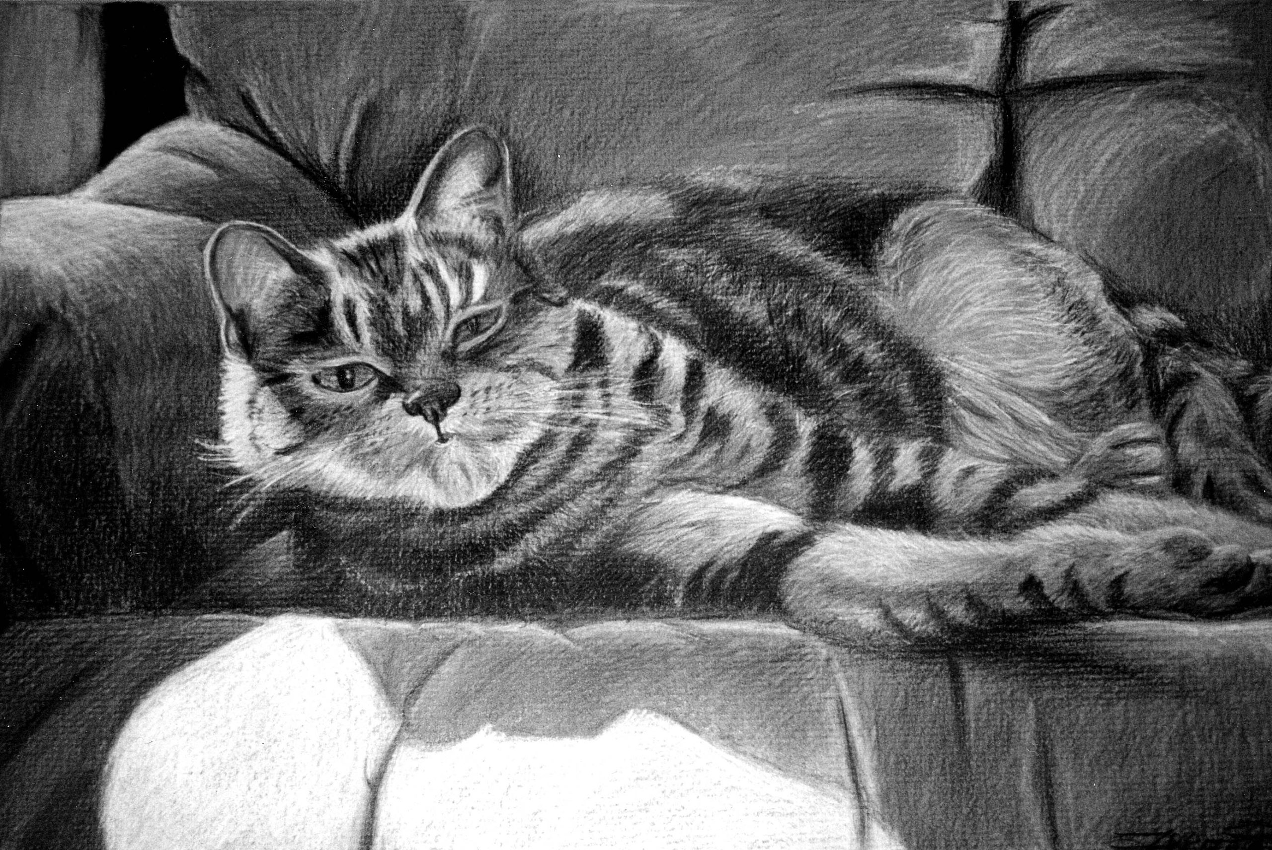 Cat laying on comfortable chair drawing