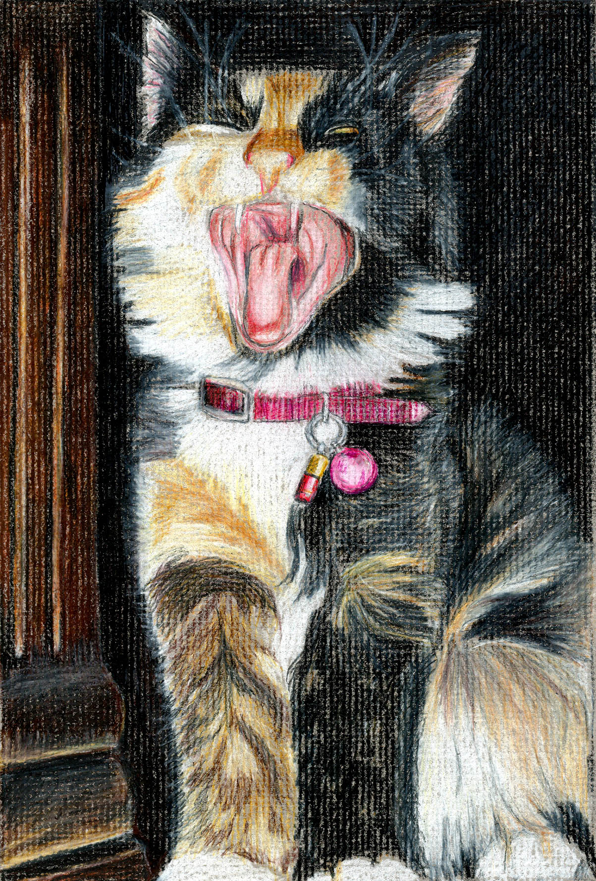 Cat yawning colored pencil drawing