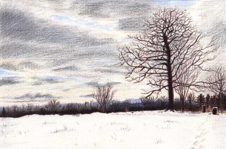 Winter scene with tree colored pencil drawing
