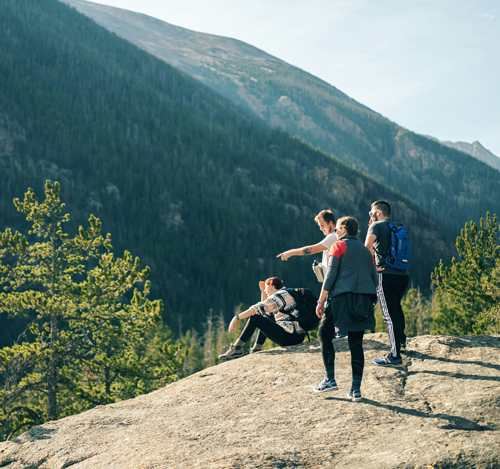 Group of young adults hiking